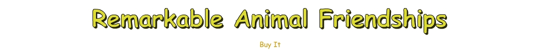 Buy Remarkable Animal Friendships by Elaine Arthur